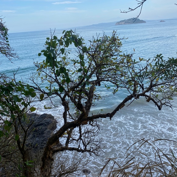 Meet your Posher, Daniela - Picture 1 of 1